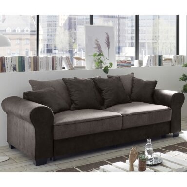 DVIVIETĖ SOFA