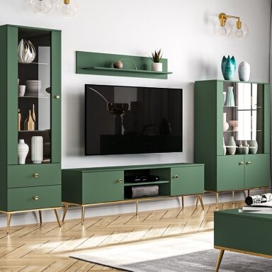 SEKCIJA "FOREST"