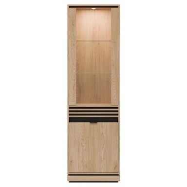 Vitrina "FERRO"