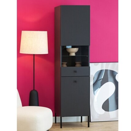 Vitrina "VIENA" 2D  1