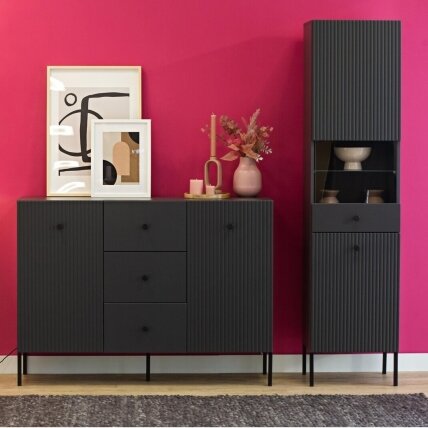 Vitrina "VIENA" 2D  3